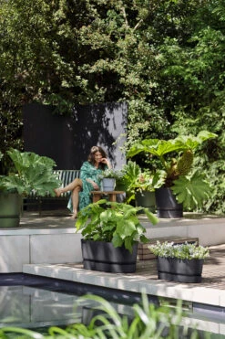 Bloembak Elho Greenville Terrace Long 50cm - Met Wielen - Living Black -Flamingo Verkoop greenville trough long 50 plantenbak living black 6 13