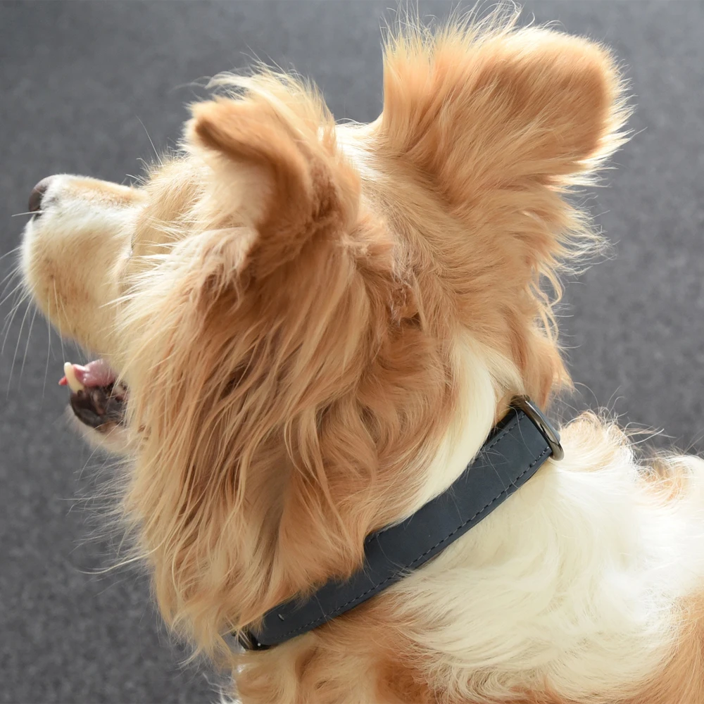 Flamingo Halsband Delu Blauw - Leer - 29-35cm 15mm - Hondenhalsband 5 Flamingo Halsband Delu Blauw - Leer - 29-35cm 15mm - Hondenhalsband - Afbeelding 3