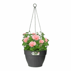 Elho Hangschaal Vibia Campana 26cm - Antraciet -Flamingo Verkoop hangschaal vibia campana 26cm antraciet hangpot antraciet 3 1