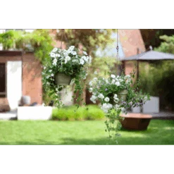 Elho Hangschaal Vibia Campana 26cm - Saliegroen 9 Elho Hangschaal Vibia Campana 26cm - Saliegroen -Flamingo Verkoop hangschaal vibia campana 26cm saliegroen hangpot saliegroen 4 1