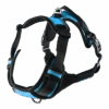 Flamingo Harnas Balou Blauw - L - 59-85cm X 25mm - Hondenharnas 1 Flamingo Harnas Balou Blauw - L - 59-85cm X 25mm - Hondenharnas -Flamingo Verkoop harnas balou blauw l 59 85cm x 25mm hondenharnas 1 5