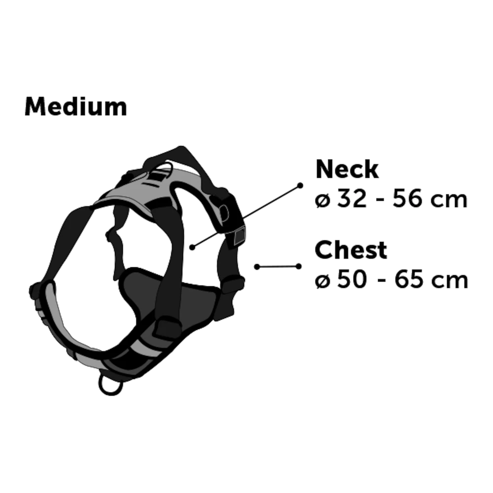 Flamingo Harnas Balou Blauw - M - 50-65cm X 25mm - Hondenharnas - Afbeelding 4