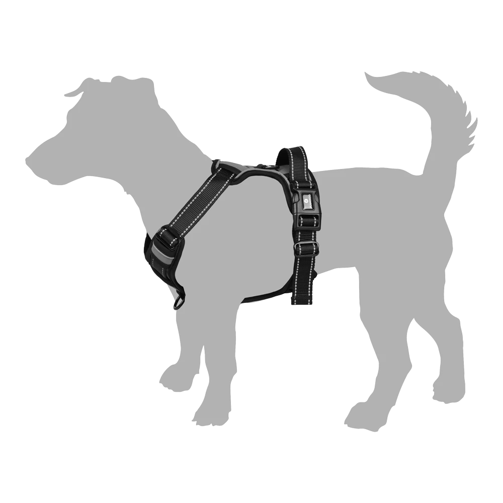 Flamingo Harnas Balou Rood - M - 50-65cm X 25mm - Hondenharnas 5 Flamingo Harnas Balou Rood - M - 50-65cm X 25mm - Hondenharnas - Afbeelding 3