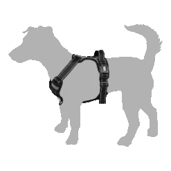 Flamingo Harnas Balou Blauw - XS - 30-45cm X 15mm - Hondenharnas 10 Flamingo Harnas Balou Blauw - XS - 30-45cm X 15mm - Hondenharnas -Flamingo Verkoop harnas balou hondenharnas 3 6 5