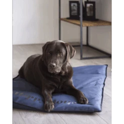 Hondendeken Strong - M - Donkerblauw - 73 X 50cm - Happy House -Flamingo Verkoop hondendeken strong m donkerblauw 73 x 50cm happy house 4
