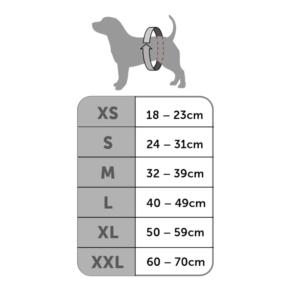 Flamingo Hondenslip Velcro - L - Zwart - Hondenonderbroek 5 Flamingo Hondenslip Velcro - L - Zwart - Hondenonderbroek - Afbeelding 3