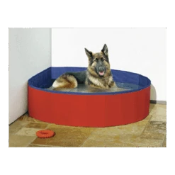Flamingo Hondenzwembad Doggy Splash Rond - 80x20cm - Blauw/Rood 7 Flamingo Hondenzwembad Doggy Splash Rond - 80x20cm - Blauw/Rood -Flamingo Verkoop hondenzwembad doggy splash rond 80x20cm blauw rood 80x20cm 2