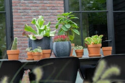 Bloempot Iowa Bullet - D44 X H39cm - Donkergrijs -Flamingo Verkoop iowa bullet graphite d44h39 bloempot 7 9