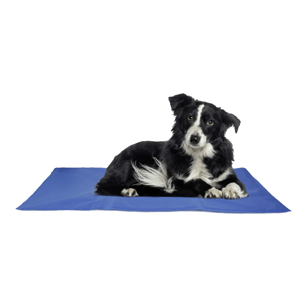 Flamingo Koelmat Fresk Rechthoek - L - 90x50cm - Blauw 3 Flamingo Koelmat Fresk Rechthoek - L - 90x50cm - Blauw