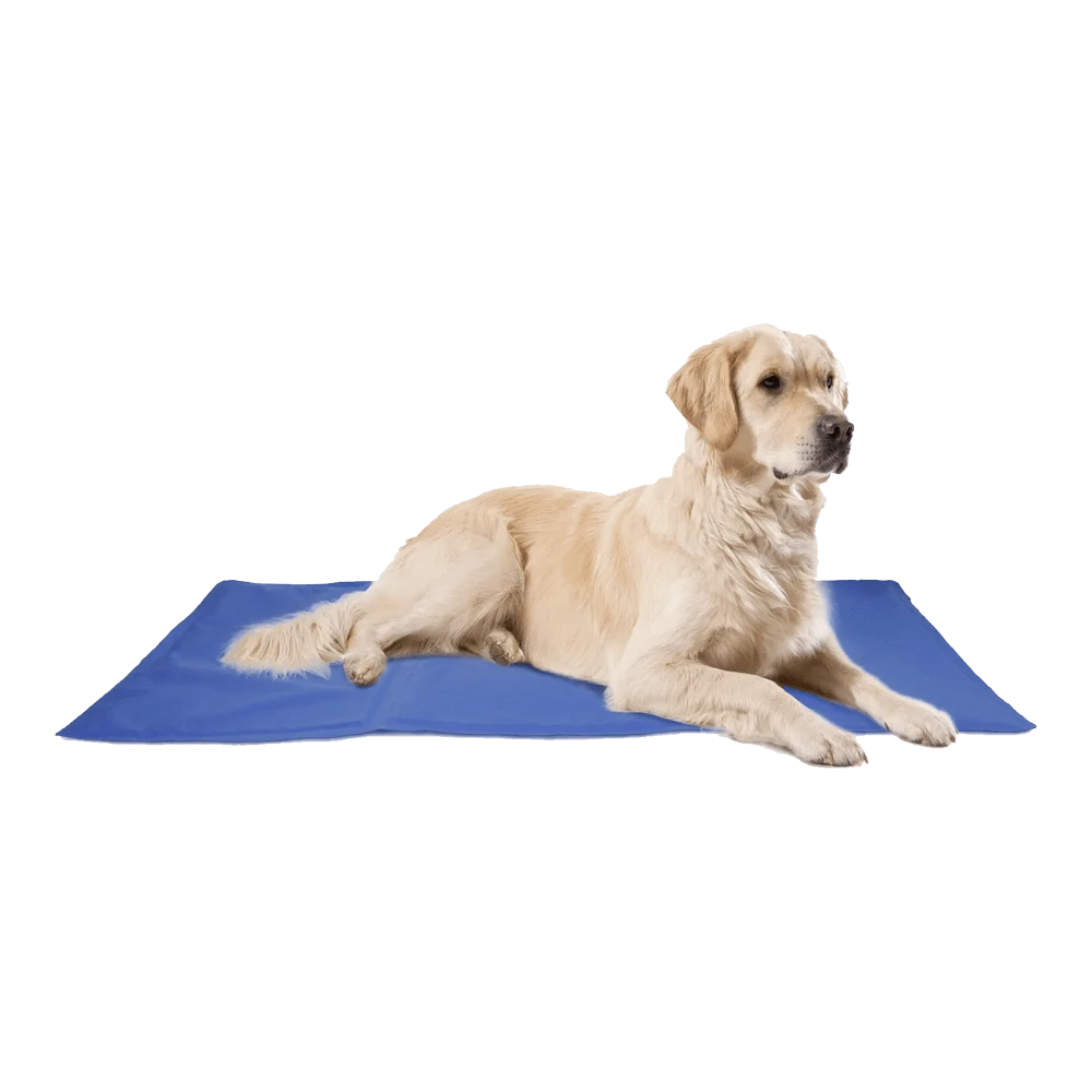 Flamingo Koelmat Fresk Rechthoek - XL - 100x60cm - Blauw 3 Flamingo Koelmat Fresk Rechthoek - XL - 100x60cm - Blauw