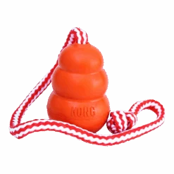 Kong Aqua Met Touw Hondenspeelgoed - M - Oranje