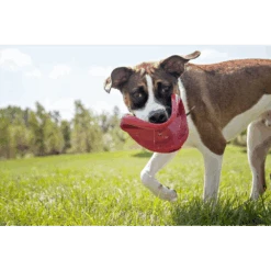 Kong Flyer Frisbee - S - Rood -Flamingo Verkoop kong flyer frisbee rood 3 2