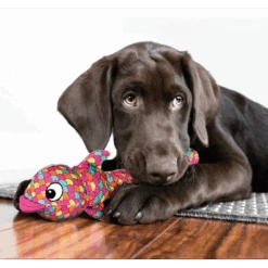 Kong Wubba Finz - L - Blauw -Flamingo Verkoop kong wubba finz l blauw 3 2