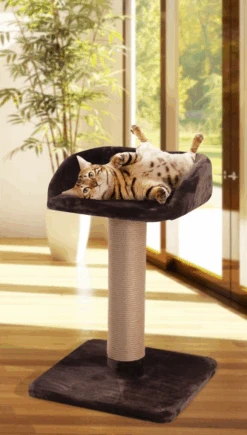 Flamingo Krabpaal Goliath 2 - Zwart - 60x60x89cm -Flamingo Verkoop krabpaal goliath 2 zwart 60x60x89cm flamingo 4