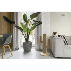 Krabpaal Houte Cactus - Naturel - 40x40x80cm - Designed By Lotte -Flamingo Verkoop krabpaal houte cactus naturel 40x40x80cm designed by lotte 2