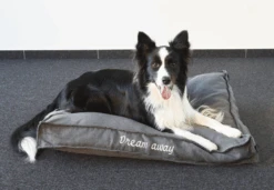 Flamingo Kussen Dream Away Rechthoekig Boord Met Rits Grijs - 80x60x10CM -Flamingo Verkoop kussen dream away rechthoekig boord met rits grijs 80x60x10cm 3 2