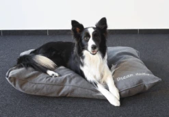 Flamingo Kussen Dream Away Rechthoekig Met Rits Grijs - 100x70x15CM 5 Flamingo Kussen Dream Away Rechthoekig Met Rits Grijs - 100x70x15CM -Flamingo Verkoop kussen dream away rechthoekig met rits grijs 2 2