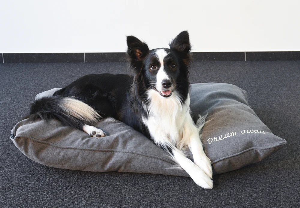 Flamingo Kussen Dream Away Rechthoekig Met Rits Grijs - 100x70x15CM 4 Flamingo Kussen Dream Away Rechthoekig Met Rits Grijs - 100x70x15CM - Afbeelding 2