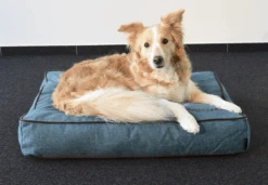 Flamingo Kussen Snoozebay Rechthoekig Boord Met Rits - Blauw - 80x60x14CM -Flamingo Verkoop kussen snoozebay rechthoekig boord met rits blauw 5 4 1