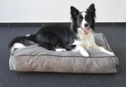 Flamingo Kussen Snoozebay Rechthoekig Boord Met Rits - Bruin - 100x70x16CM -Flamingo Verkoop kussen snoozebay rechthoekig boord met rits bruin 5 4