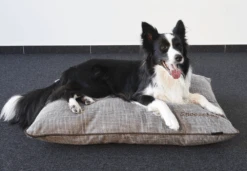 Flamingo Kussen Snoozebay Rechthoekig Met Rits - Bruin - 80x60x14CM -Flamingo Verkoop kussen snoozebay rechthoekig met rits bruin 5 4