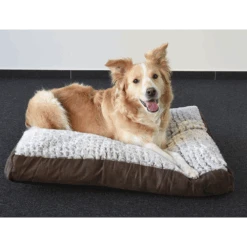 Flamingo Kussen Snoozzy Rechthoekig Met Rits - Bruin - 120X80X12CM 6 Flamingo Kussen Snoozzy Rechthoekig Met Rits - Bruin - 120X80X12CM -Flamingo Verkoop kussen snoozzy rechthoekig met rits bruin 120x80x12cm 2 4