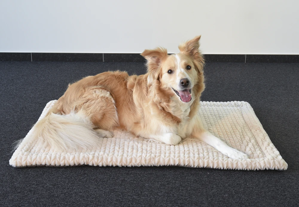 Flamingo Kussen Zupo Plat Rechthoekig - Beige - 100,5X63X2CM 6 Flamingo Kussen Zupo Plat Rechthoekig - Beige - 100,5X63X2CM - Afbeelding 4