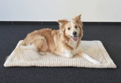 Flamingo Kussen Zupo Plat Rechthoekig - Beige - 55,5X38,5X2CM 10 Flamingo Kussen Zupo Plat Rechthoekig - Beige - 55,5X38,5X2CM -Flamingo Verkoop kussen zupo plat rechthoekig beige 4 3