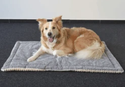 Flamingo Kussen Zupo Plat Rechthoekig - Beige - 55,5X38,5X2CM 11 Flamingo Kussen Zupo Plat Rechthoekig - Beige - 55,5X38,5X2CM -Flamingo Verkoop kussen zupo plat rechthoekig beige 5 3