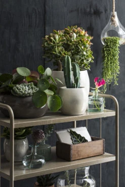 Bloempot Lester - D38 X H35cm - Lichtgrijs -Flamingo Verkoop lester pot rond lgrijs h35xd38cm bloempot 6 12