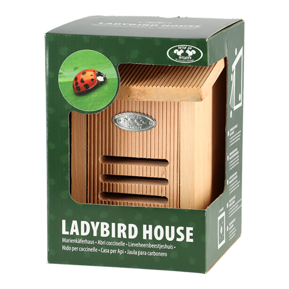 Lieveheersbeestjeshuis In Cadeaudoos 5 Lieveheersbeestjeshuis In Cadeaudoos - Afbeelding 3