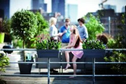 Balkonbak Elho Loft Urban 50cm - Antraciet -Flamingo Verkoop loft urban balkonbak 50 plantenbak antraciet 6 13