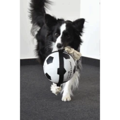 Flamingo Matchball Voetbal Met Touw - 20x20x50cm -Flamingo Verkoop matchball voetbal met touw 3 2