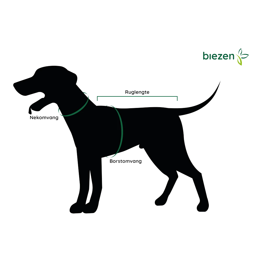 Flamingo Halsband Rondo OL Zwart - Leer - 54-62cm 27mm - Hondenhalsband 4 Flamingo Halsband Rondo OL Zwart - Leer - 54-62cm 27mm - Hondenhalsband - Afbeelding 2