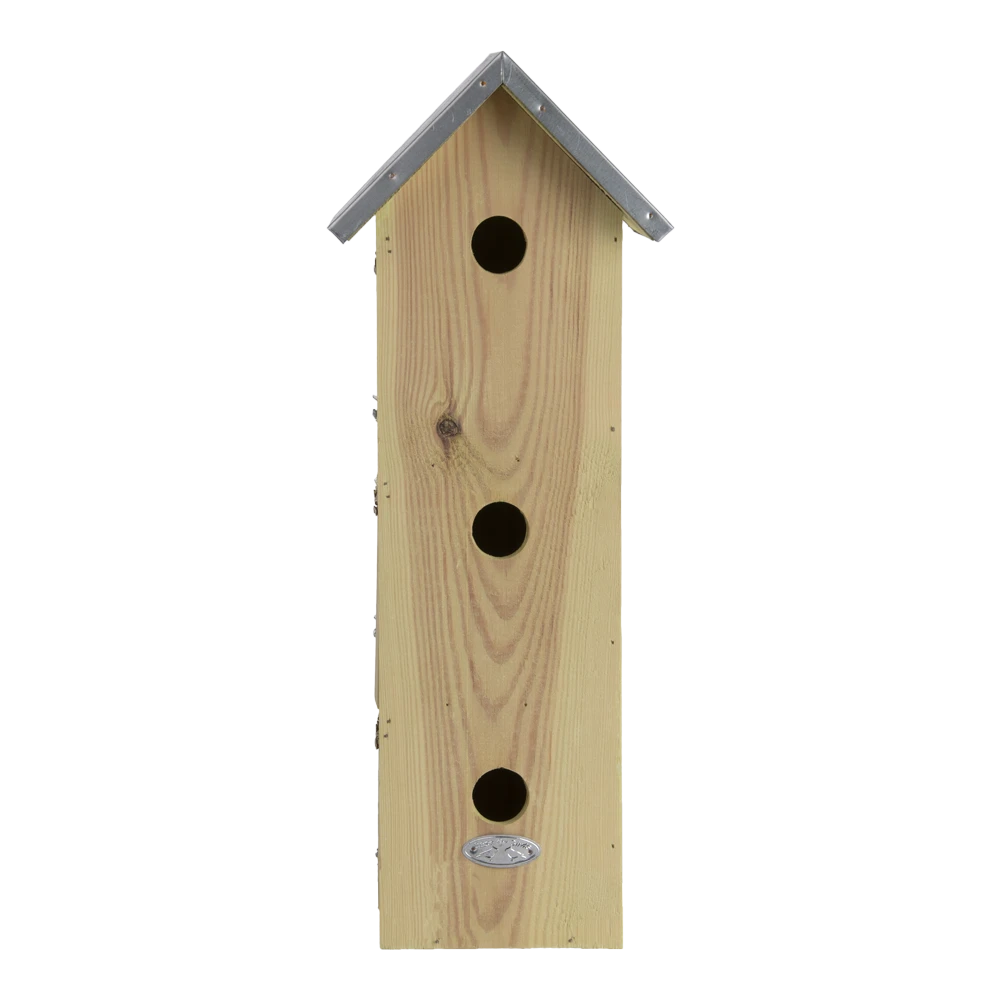 Mussenvilla 5 Mussenvilla - Afbeelding 3