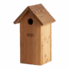 Nestkast Koolmees Douglas Hout -Flamingo Verkoop nestkast koolmees douglas hout best for birds 1 1