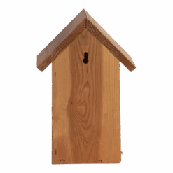 Nestkast Pimpelmees Douglas Hout 7 Nestkast Pimpelmees Douglas Hout -Flamingo Verkoop nestkast pimpelmees douglas hout best for birds 3 1