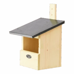 Nestkast Roodborst