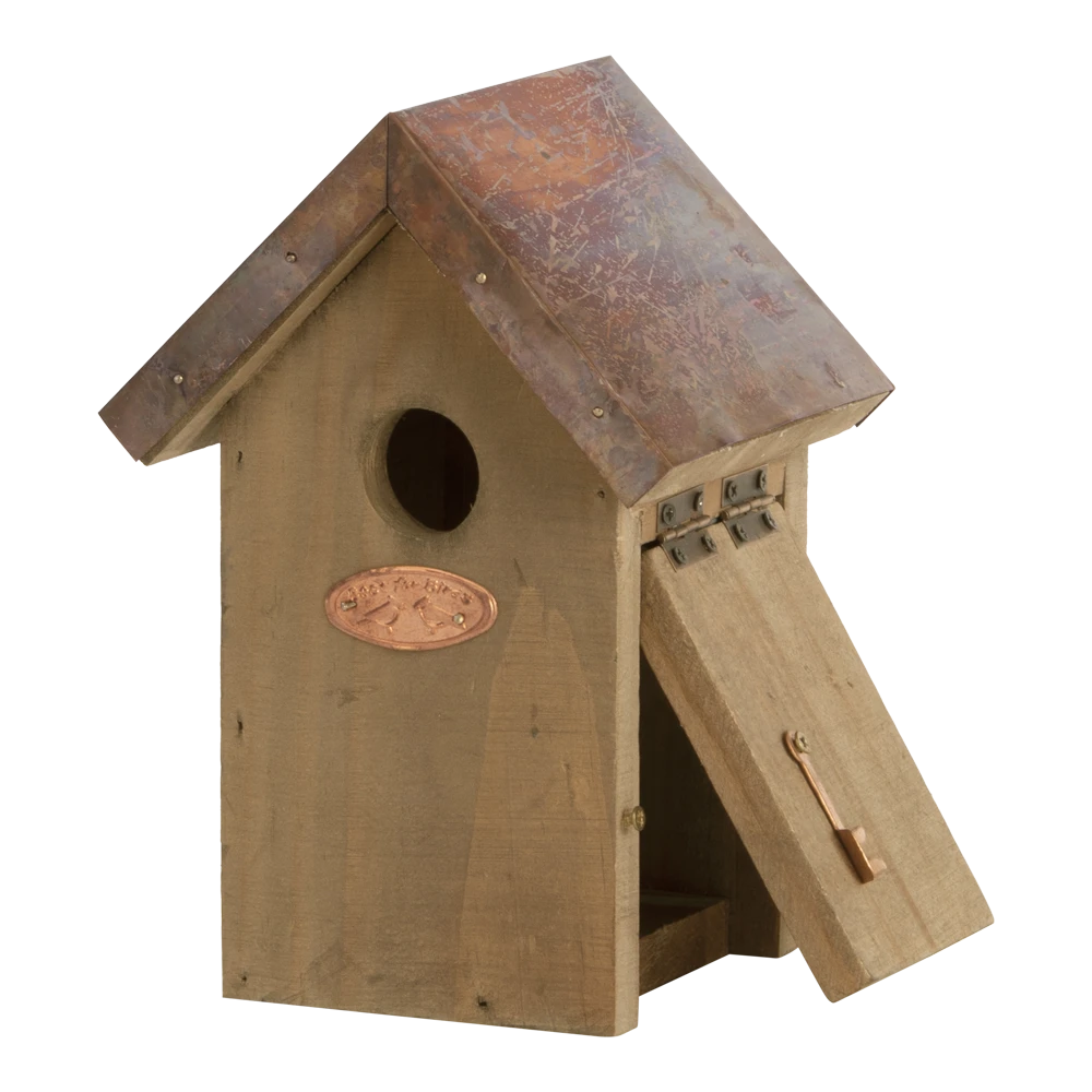Nestkast Winterkoning Koperen Dak 5 Nestkast Winterkoning Koperen Dak - Afbeelding 3
