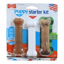 Nylabone Puppy Starter Kit
