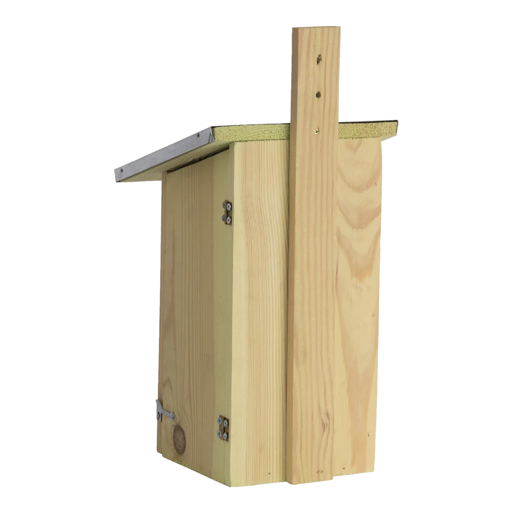 Observatienestkast 4 Observatienestkast - Afbeelding 2