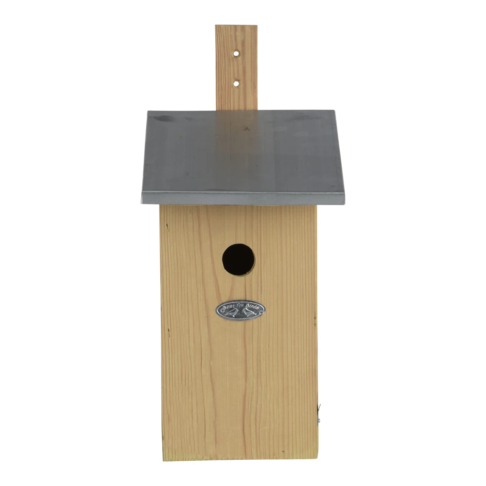 Observatienestkast 5 Observatienestkast - Afbeelding 3