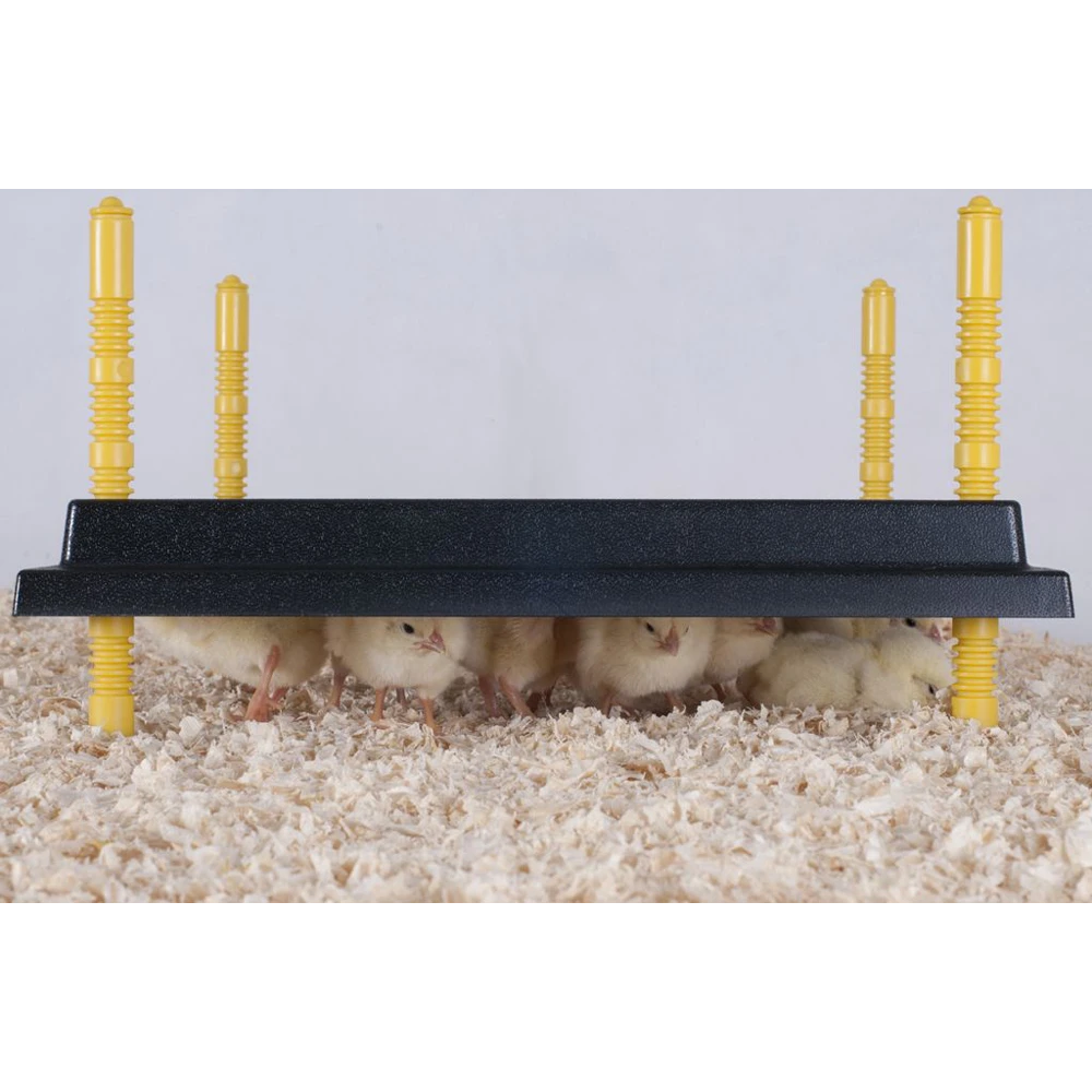 Olba Warmteplaat 30x30cm - Verwarming Voor Kuikens - 25 Watt 5 Olba Warmteplaat 30x30cm - Verwarming Voor Kuikens - 25 Watt - Afbeelding 3