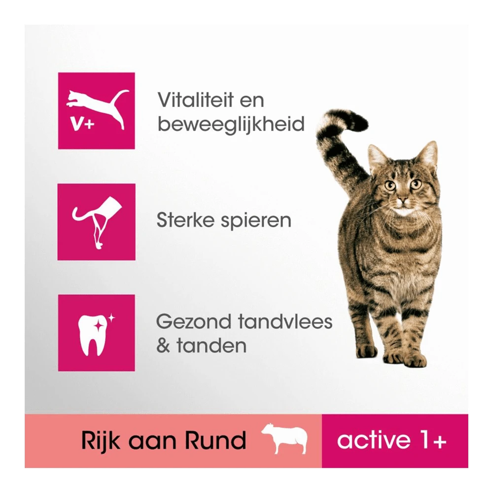 Perfect Fit Droog Active Rund Zak 1,4 Kg 4 Perfect Fit Droog Active Rund Zak 1,4 Kg - Afbeelding 2