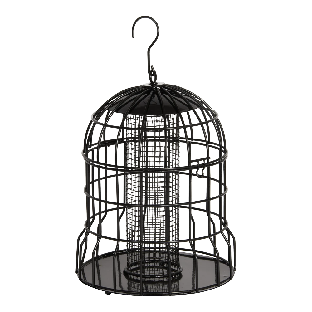 Pindasilo Milaan Met Beschermkooi - 26xu00f822cm 3 Pindasilo Milaan Met Beschermkooi - 26xu00f822cm