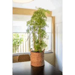 Plantenmand Joris - D33 X H31cm - Camel -Flamingo Verkoop plantenmand joris camel plantenmand 2 1