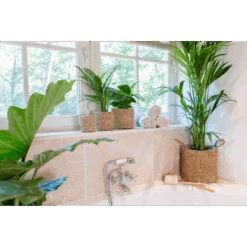 Plantenmand Joris - D38 X H33cm - Naturel -Flamingo Verkoop plantenmand joris naturel plantenmand 3 3