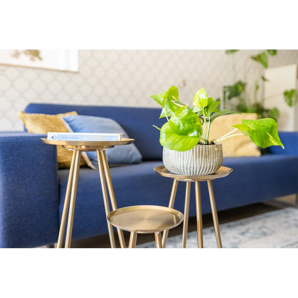 Plantenschaal Felco - D22 X H12cm 4 Plantenschaal Felco - D22 X H12cm - Afbeelding 2