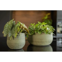 Plantenschaal Lydia - D28 X H13cm - Shiny Green 5 Plantenschaal Lydia - D28 X H13cm - Shiny Green -Flamingo Verkoop plantenschaal lydia d28 x h13cm shiny green plantenschaal 2