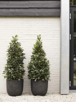 Capi Bloempot Bol Nature Row NL - D35 X H34cm - Zwart -Flamingo Verkoop pot bol row nl 35x34 zwart bloempot 6 9